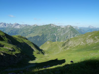 Weg zum Falmedonjoch