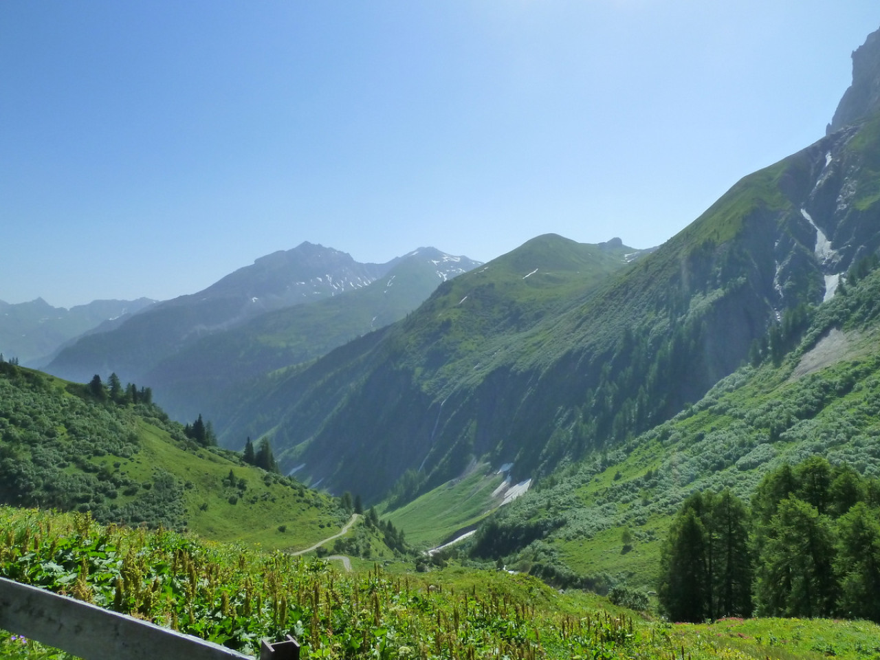  Blick ins Almajurtal von der Erlachalpe