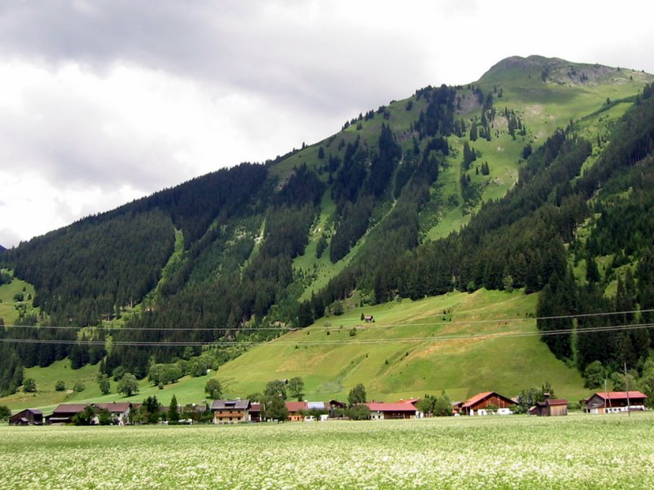  Schönau Bach