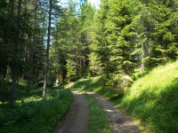 Grünauer Höhenweg