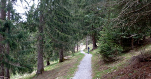  Lechweg - Richtung Holzgauer Hängebrücke