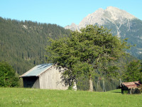 Stadl auf der Schiggen