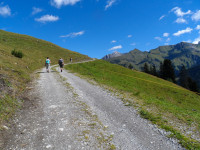 02_staendig_ansteigender_leichter_Wanderweg_zur_Mahdbergalpe.jpg