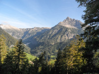 Blick zum Hochvogel