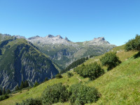 Blick zum Allgäuer Dreigestirn