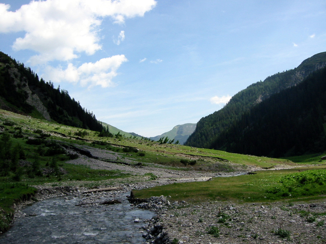  Bodenalpe - Alpe Erlach - Almajurtal