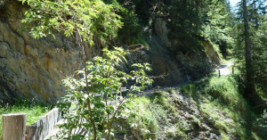  Rundweg oberhalb des Simms Wasserfalls