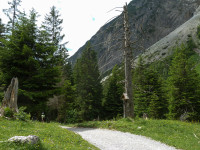 bei der Roßgumpenalm