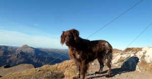  Aiko am Gipfel - Geißhorns