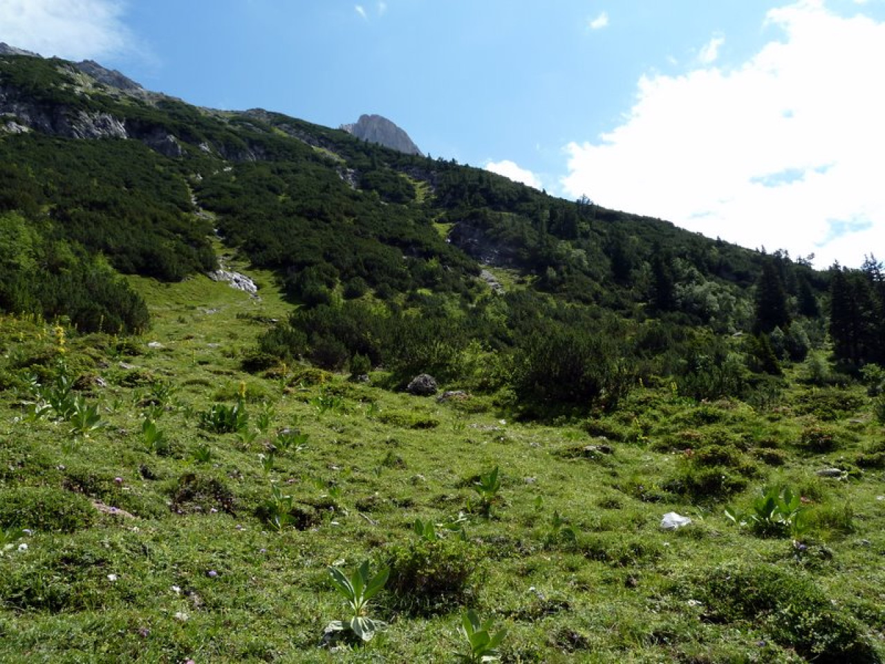  Lechquellengebirge