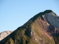 Schafe auf der Rothornspitze